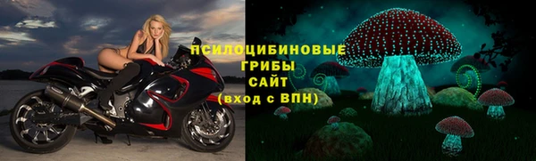 spice Новозыбков