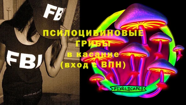 spice Новозыбков