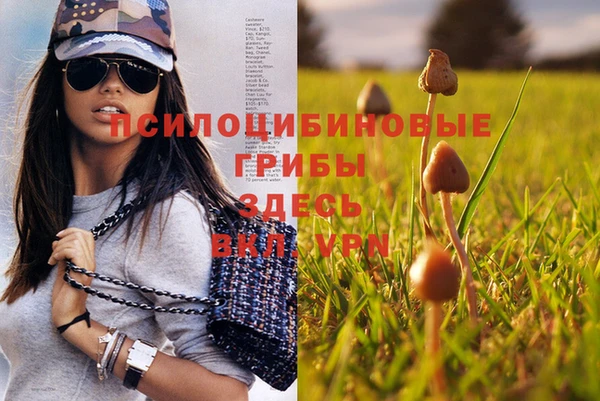 герыч Липки