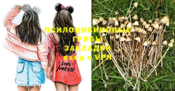 мескалин Майский