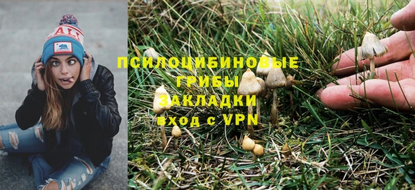 дмт Магадан