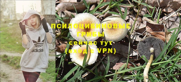 дмт Магадан