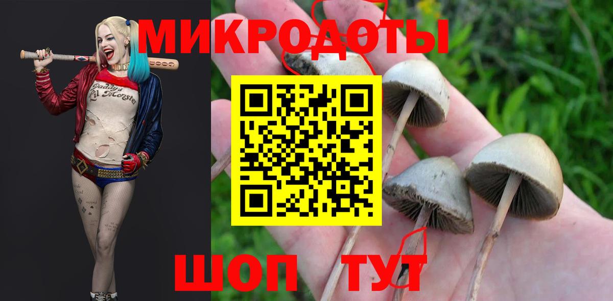 Галлюциногенные грибы Psilocybe  купить наркотик  Фрязино  Вход с VPN  Псилоцибиновые грибы Magic Shrooms 