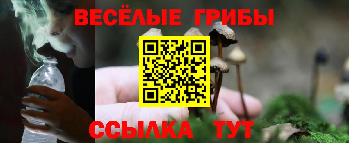 Галлюциногенные грибы MAGIC MUSHROOMS Фрязино