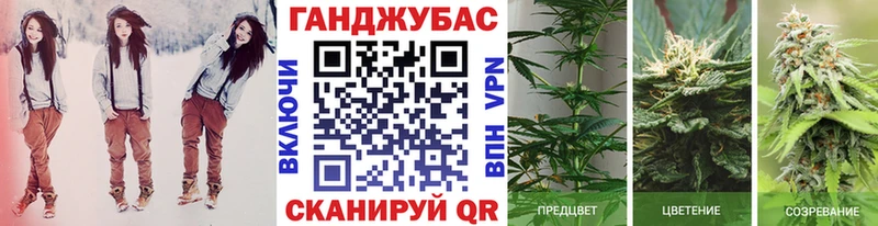 Каннабис марихуана Фрязино
